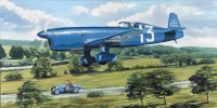 Caudron C450, Maurice Arnoux, peinture originale