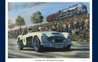 austin_healey_mille_miglia_1957_856171989