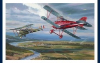 Albatros DIII Richthofen