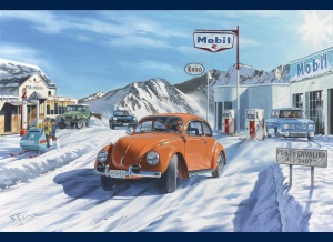 coccinelle_envalira