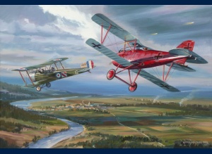 Albatros DIII Richthofen peinture