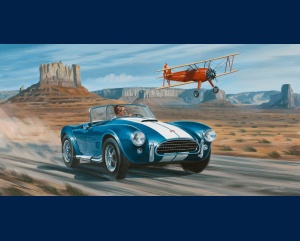 Ac Cobra et Boeing Stearman