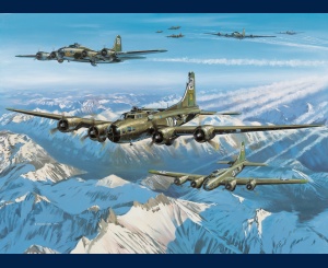B17 Wolf Pack peinture