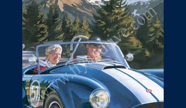 ac_cobra_alpes_detail_01