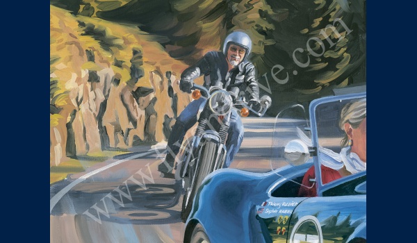 ac_cobra_alpes_detail_02
