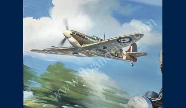 spitfire-vs-spitfire_detail02_1195796765