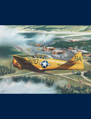 north_american-t6_66456748